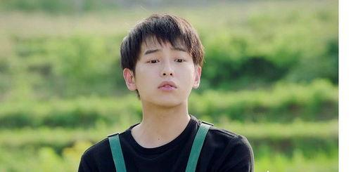 娱乐吃瓜酱德国男生,揭秘他们的娱乐生活与“吃瓜”文化