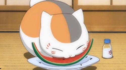 娱乐吃瓜酱棉袄猫窝,揭秘明星温馨家居生活