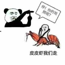 娱乐吃瓜酱专属梗图片,图解娱乐圈那些事儿