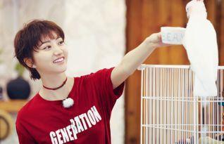 吃瓜娱乐间陈小春,吃瓜娱乐间，揭秘明星背后的故事