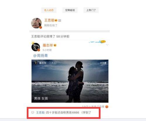朋友娱乐圈吃瓜文案,揭秘朋友们的吃瓜大作战