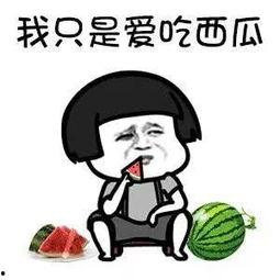 娱乐吃瓜小象是谁,网络红人的崛起之路