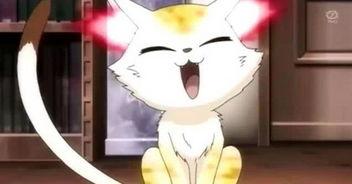 娱乐吃瓜酱长矛老师,娱乐吃瓜界的翘楚，揭秘娱乐圈幕后风云