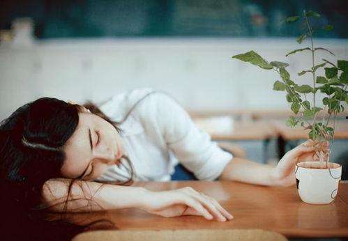 爱如火娱乐吃瓜酱