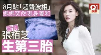 娱乐吃瓜酱母胎solo