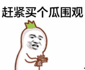 暴走熊猫人娱乐吃瓜,揭秘娱乐圈背后的那些事儿